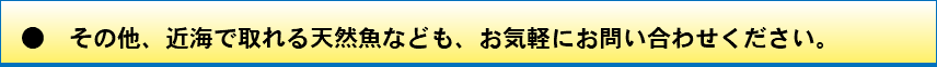 ●　その他、近海で取れる天然魚なども、お気軽にお問い合わせください。